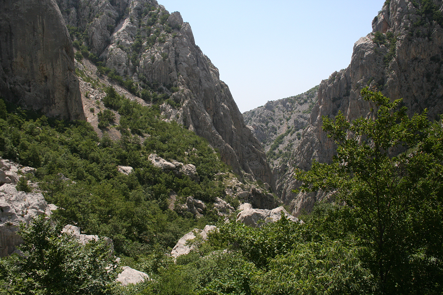 6484_Paklenica N.P..JPG
